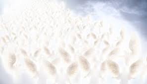 Check spelling or type a new query. The Angels View Of Christmas Glory To God In Heaven Diana Leagh Matthews