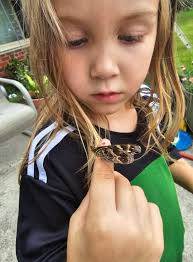 How to sign up my 9-year-old son for boy scouts in Columbia County?