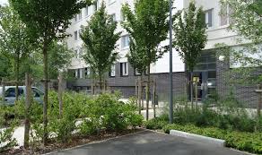 Quartier Bel Air La Compagnie Du Paysage Architecture Du Paysage Paysage Paysagiste