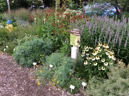 These will help you keep bees and pollinating insects happy. Plant It And They Will Come My Corner Pollinator Garden Wild Pollinator Partners