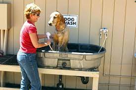 And you can do it whenever it's convenient for you many professional dog groomers charge high prices, but diy dog grooming with all paws pet wash is an affordable, quality experience. 32 Best Diy Dog Washing Ideas That You Will Love Diy To Make