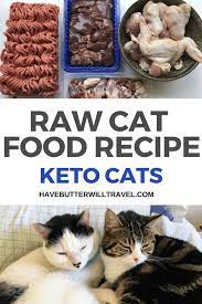 Raw Cat Food Recipe Keto Kitties With Allergies Have Butter Will Travel Recipe Raw Cat Food Recipes Food Animals Dog Food Recipes