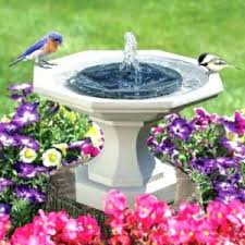 Which brand has the largest assortment of fountain pumps. Best Fountain Pumps Solar Submersible Water Pumps 2021