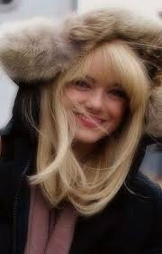 Stonefield histórias