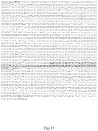 11725 n illinois st, carmel, in 46032. Rna Encoding An Antibody Fotin Mleczek Mariola Et Al Curevac Ag