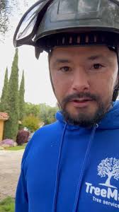 Helped easy stumps tree service with the treemek today take out a massive  hazard elm. Awesome job easy stumps team and of course Aaron for slaying it 