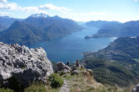 Image result for Grona