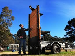 Best drip coffee machine is the one that fits your home kitchen, budget & stylish, but never compromises on excellent coffee. Australian Kelpie Breed Profile Australian Dog Lover