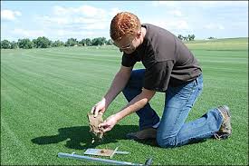 If you are seeking someone in minneapolis who provides sod lawn services, let jason lindsey help you. Twins Target Field Goes Green Behind The Scenes On The Special Sports Turf S 830 Mile Journey Here Minnpost
