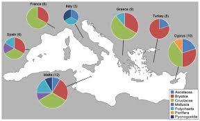 Izmir 'da infobel kayıtlı şirketleri 1 listeledi. A Massive Update Of Non Indigenous Species Records In Mediterranean Marinas Peerj