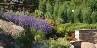 See more ideas about backyard, xeriscape, backyard landscaping. Professional Xeriscaping Tips Landscaping Network