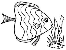 Coloring page with schools of fish. Color Pages Of Fish Activity Shelter