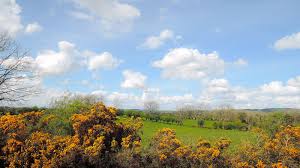 May day on may 1 is an ancient northern hemisphere spring festival and usually a public holiday; May Day An Ancient Feast Celebrated In All Ireland Is Alive And Well In Co Mayo County Mayo Ireland Natural Landmarks