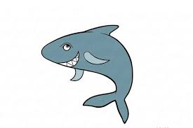 It's very easy art tutorial, only follow me step by step, if you need m. Easy Drawings Of Baby Shark Novocom Top