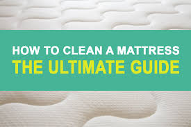 1 cleaning urine and other stains from mattress. How To Clean A Mattress The Ultimate Guide 2021 Insider Living