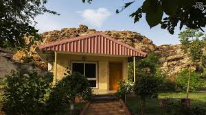 Kohteen oravakallu rock garden arvostelusta : Apta Eguides