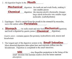 Student exploration digestive system gizmo answer key mcleodgaming. 29 The Digestive System Worksheet Answers Free Worksheet Spreadsheet