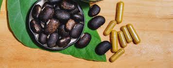 Image result for Mucuna poggei