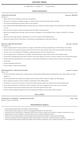 campaign manager resume sample mintresume