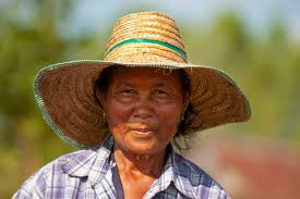 1,200+ Portrait Of A Thai Farmer In The Rice Field Stock Photos, Pictures &  Royalty-Free Images