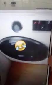 Use the right amount of he detergent, and remove detergent residue from the washing machine. Cat Killed In Washing Machine In Spain Holidogtimes