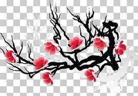 Cherry Blossom Png Images Cherry Blossom Clipart Free Download Cherry Blossom Cherry Blossom Petals Free Clip Art
