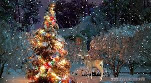 Fond D Ecrans Neige Animes Fond D Ecran Neige Sur Le Sapin De Noel Avec Images Noel Robinsnestfurnitureandmore Com Fond ecran noel gratuit,fond d'écran de noel gratuit avec neige qui tombe,fond ecran noel animé gratuit 2016,fonds d'écrans animés. neige animes fond d ecran neige