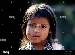 Parkin hi-res stock photography and images