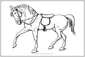 horse coloring page malvorlagen pferde malvorlagen tiere ausmalbilder pferde