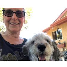 PART ONE OF TWO Three years ago, Bobo, formerly Bolto, was transferred to  Humane Society of El Cajon after he was found living in unsuitable  conditions. They removed 16 teeth and had