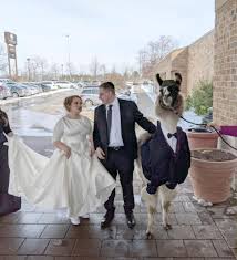 Toni kroos is a midfielder and is 6' and weighs 163 pounds. Bruder Geht Viral Weil Er Das Zur Hochzeit Seiner Schwester Mitbringt