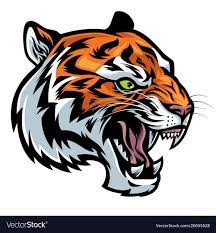 Risultati Immagini Per Angry Tiger Binatang Ilustrasi Binatang Buas