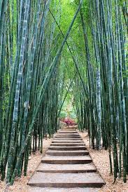 Richard Jacobs Richardjacobsv8 Byron Bay Australia Australia Travel Crystal Castle