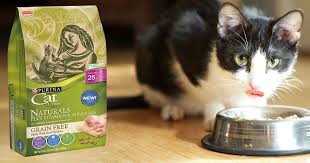 Trouvez les meilleures vidéos gratuites sur le thème « my cat perks sign up ». Free Sample Of Purina Cat Chow Naturals Grain Free Familysavings