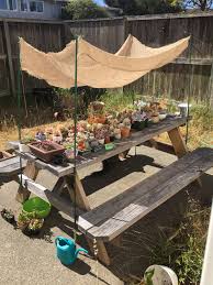 These are areas that receive plenty of bright light but are protected from the very intense afternoon heat. Built A Makeshift Shade For My Succulents After One Of Them Got A Slow Sunburn Burlap Because Home Depot Has Zero Shade Cloth Oh Don T Mind The Wacky Thermometer Succulents