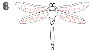All insects have a head, a thorax, an abdomen, and six legs. How To Draw A Dragonfly Step By Step Insect Art Wings Drawing Drawings