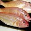 Resepi masakan sup ikan merah. Https Encrypted Tbn0 Gstatic Com Images Q Tbn And9gcscazogsnyqr2wztlayj1c4b6i48wor7exmuful9sajajugmr F Usqp Cau