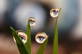 Yassine صور رائعة الإنعكاس على قطرات الماء