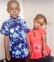 The officer confronted the ipob supporters … Police Arrest Kano Mother Over Stabbing Of Her 2 Children To Death