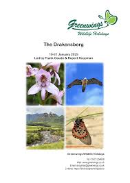 Image result for Sopubia angolensis