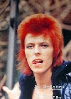 Accelerated Decrepitude: Mark Harp's Big Thing: Insane!