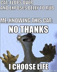 Rub generously into skinless chicken, pork chops, or whatever. Image Tagged In No Thanks I Choose Life Cats Imgflip
