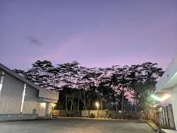 Pabrik tisu klaten / pabrik tisu. Pt Igp Internasional Klaten Jawa Tengah 62 828 9270 1414