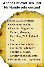 Durfen Hunde Ananas Essen Dogco De Hunde Ernahrung Kochen Fur Hunde Essen