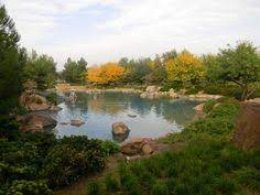 Lake Planting View Garden Arizona Style Great Places