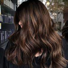 Chestnut Hair Color Ideas That Have Us Ready For Fall Chestnut Hair Color Chestnut Hair Brown Hair Colors