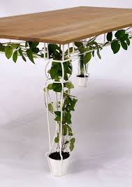60 Marvelous Indoor Vines And Climbing Plants Decorations Hoommy Com Plant Table Plant Decor Indoor Vines