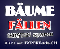 Wer will schon bäume fällen? Baume Fallen Kosten Preise Anleitung Holzschlag Info Ch