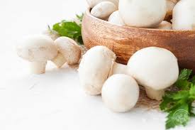 Some cats love the smell of mushrooms and would eat them, if they could get their paws on some. Can Chickens Eat Mushrooms Vet Explains Pets