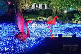 2022年３年ぶり「フローランテ宮崎 イルミネーションフラワーガーデン」Part1 | 日々ブログ MORIMORI ＠宮崎県